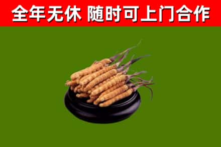 祁东烟酒回收冬虫夏草.jpg
